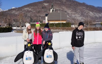 DRSANJE V BOHINJSKI BISTRICI